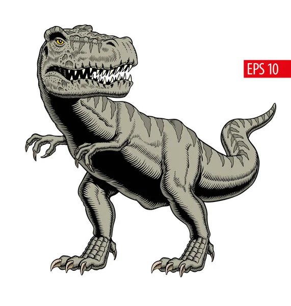 Tyrannosaurus rex eller t rex dinosaurie isolerade på vitt. Vektorillustration. — Stock vektor