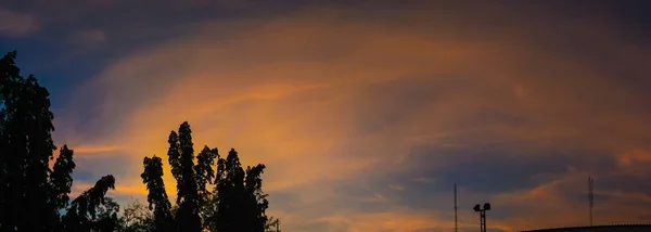 素敵な劇的な空雲と パノラマの景色の木のシルエット — ストック写真