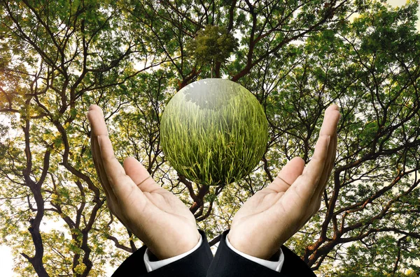 Buisnessman Prowadzić Latający Planety Wielkie Drzewo Zadaszenie Tło Koncepcja Zrównoważonego — Zdjęcie stockowe