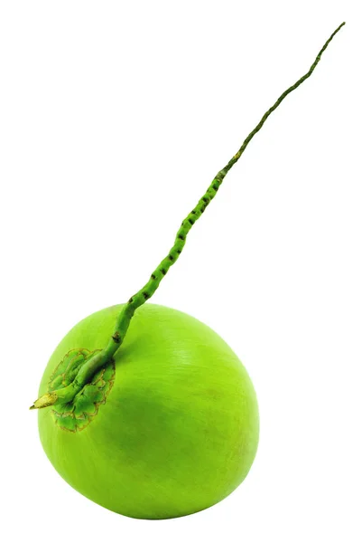 Fruta Coco Verde Isolada Sobre Fundo Branco Alimentos Saudáveis — Fotografia de Stock