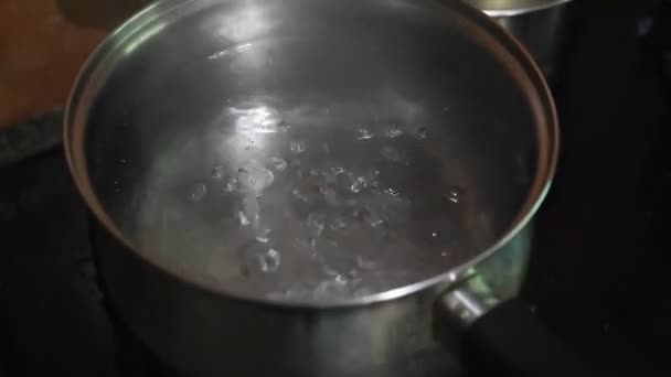 Kokend Water Pot Lasagne Maken — Stockvideo