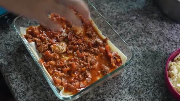 Lay Cheese Tomato Sacue Make Lasagna — Stock Video
