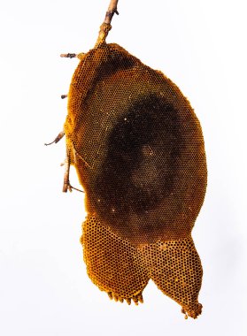 Hoenycomb kadar yakın ve izole