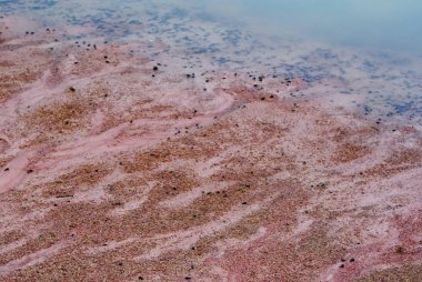 Doğa arka plan, kum ve su gölet