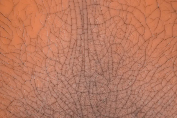 Абстрактный Текстурный Фон Треснутая Линия Стекловолоконном Фоне Грандиозная Концепция — стоковое фото