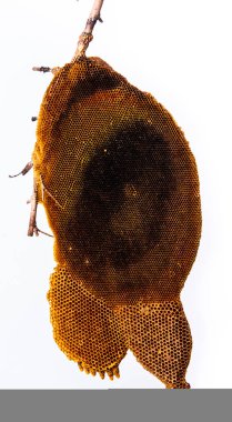 Hoenycomb kadar yakın ve izole