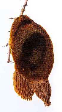 Hoenycomb kadar yakın ve izole