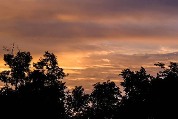 美丽的树剪影与日落天空和云彩 — 图库照片