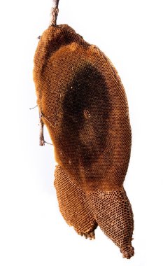 Hoenycomb kadar yakın ve izole