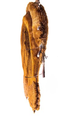 Hoenycomb kadar yakın ve izole