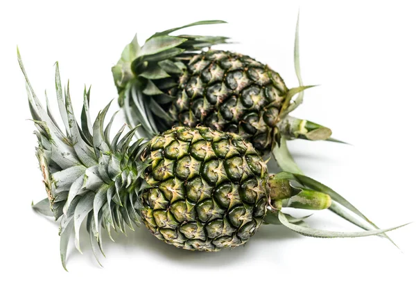 查出的菠萝白色背景 热带水果 — 图库照片