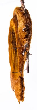 Hoenycomb kadar yakın ve izole