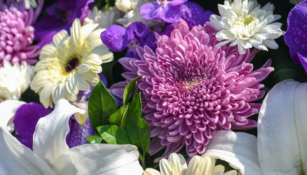 Nice Purple Flower Bouquet Background — Stock Photo, Image