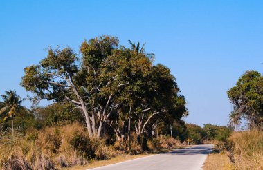 Boş yol ve kurutulmuş alanının yanındaki, kırsal Tayland