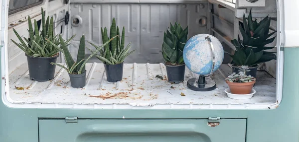 Plante Pot Fleurs Sur Camion Avec Modèle Mondial — Photo