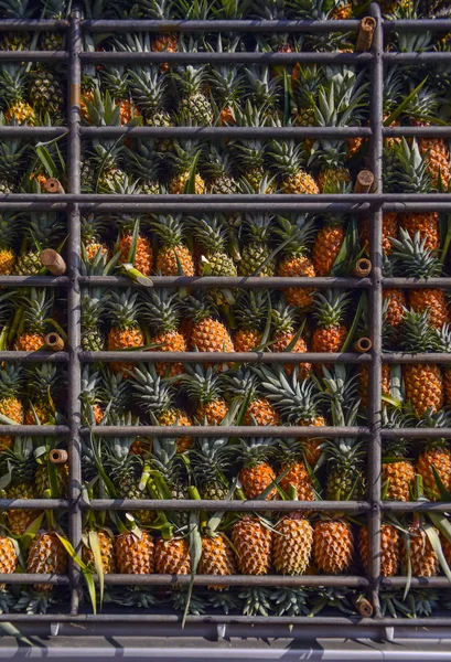 Ovoce Ananas Vozíku Sklizeň Tropického Ovoce Thajsku — Stock fotografie