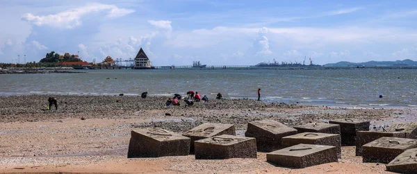 Chonburi Thailand Juni Mensen Zoek Naar Zeeschelp Strand Juni 2018 — Stockfoto