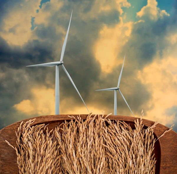 Turbina Eólica Primeiro Plano Com Arroz Paddy Conceito Sustentável — Fotografia de Stock