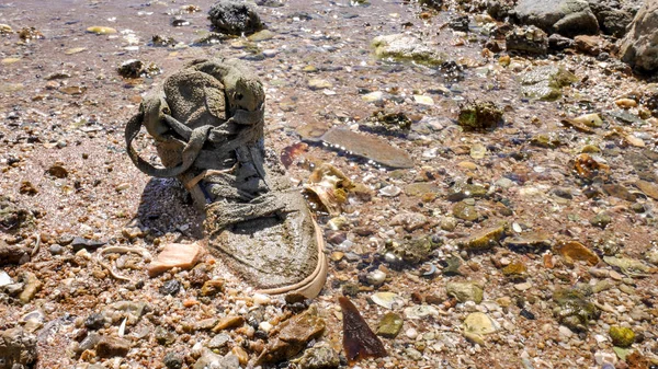 Plajı Nda Eski Ayakkabı — Stok fotoğraf
