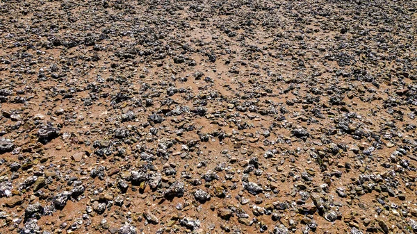 Stone Shell Beach — Stock Photo, Image