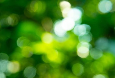 Işık bokeh, soyut arka plan bulanık.