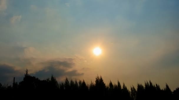 Caducidad Del Cielo Atardecer Sobre Pino — Vídeos de Stock