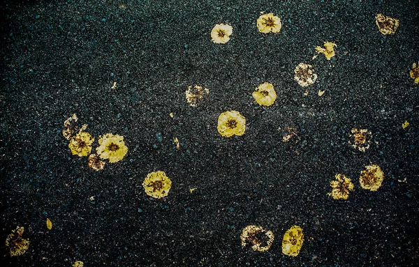 Abstract Background Damage Yellow Flower Asphalt Road Texture Background — Stock Photo, Image