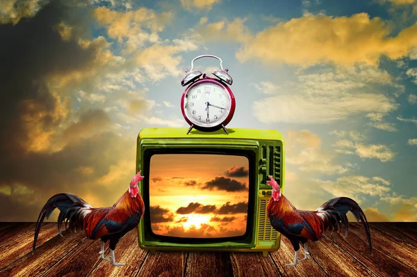 Retro Television Alarm Clock Chickens Deck Television Program Morning Time — Stock Photo, Image