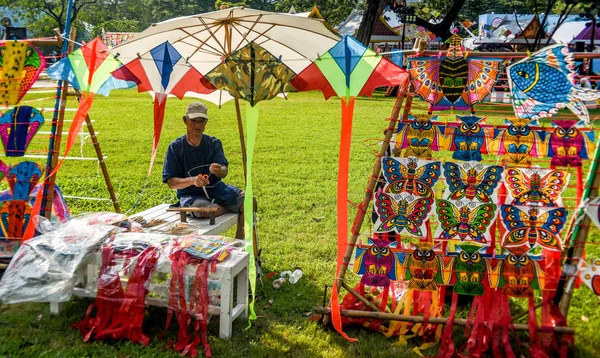 Bangkok Thailand Nov Oidentifierad Man Gör Thai Kite Lumpine Trädgård — Stockfoto