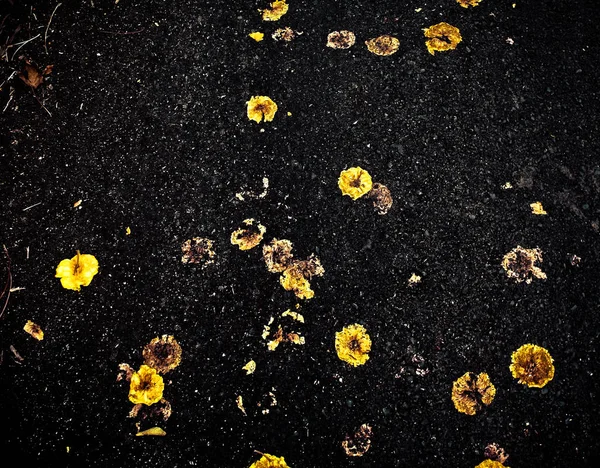 Abstract Background Damage Yellow Flower Asphalt Road Texture Background — Stock Photo, Image