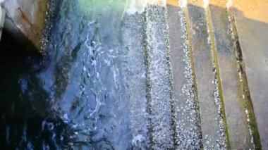 Adımda sıçramasına deniz sörf