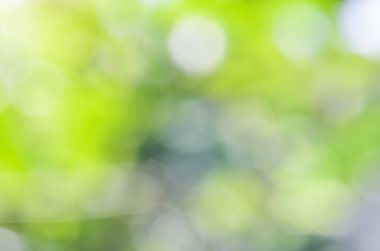 doğa bokeh arka plan