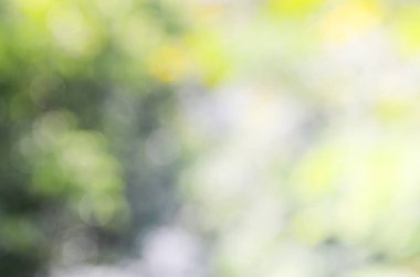 doğa bokeh arka plan