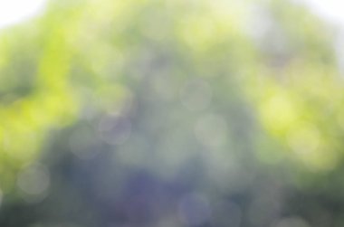 doğa bokeh arka plan