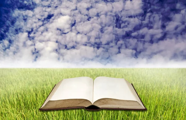Mavi gökyüzü ile pirinç alan boş kitap — Stok fotoğraf