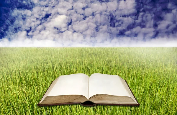 Libro en blanco sobre el campo de arroz con cielo azul —  Fotos de Stock