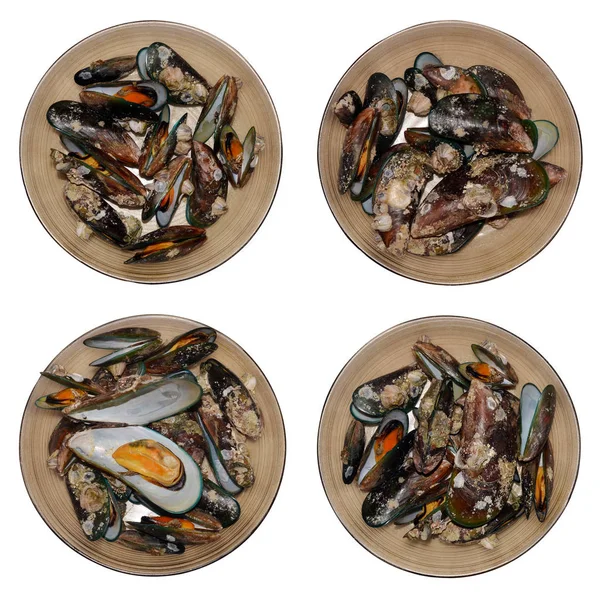 Grön mussla seashell i skålen isolerad med ovanifrån — Stockfoto