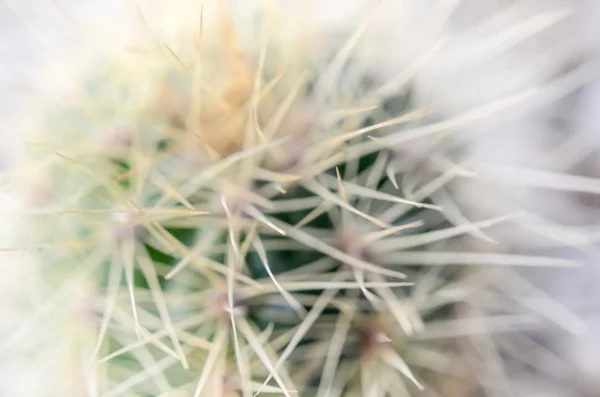 Abstrakter defokussierter Hintergrund — Stockfoto