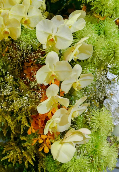 Schöne gelbe Orchidee mit anderem Blumenschmuck — Stockfoto