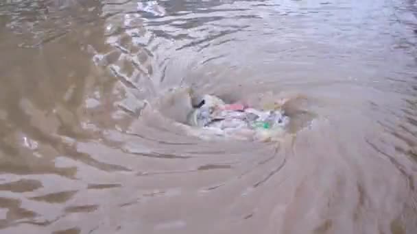 道路の雨水排水管を流れる洪水 — ストック動画