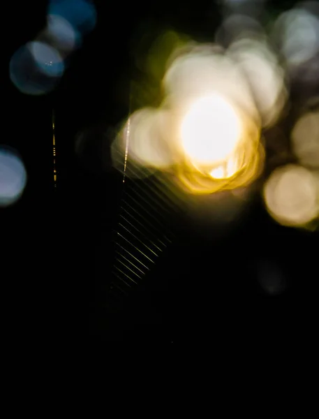 Lumière Bokeh avec toile d'araignée — Photo