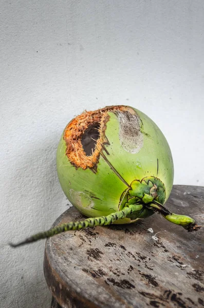 Zelený kokos s otvorem na stole — Stock fotografie