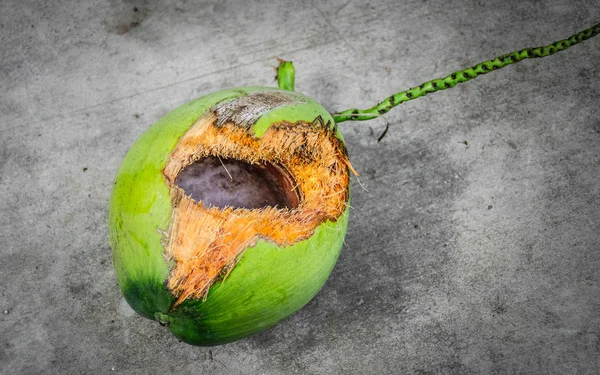 Noix de coco verte avec trou au sol — Photo