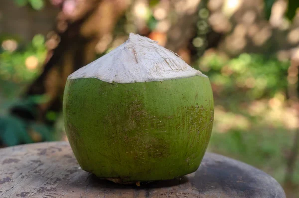 Fruta de coco em cadeira de madeira no jardim — Fotografia de Stock
