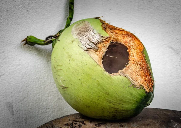 Coco verde com furo na mesa — Fotografia de Stock