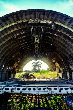 Terk alanında uçak enkazı