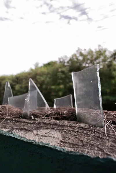 Broken sharp glass decoration on top of fence for security — Stock Photo, Image
