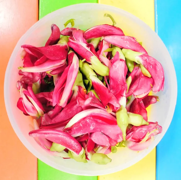 Fleur pourpre fraîche de Colibri des légumes (Sesbania grandiflo — Photo