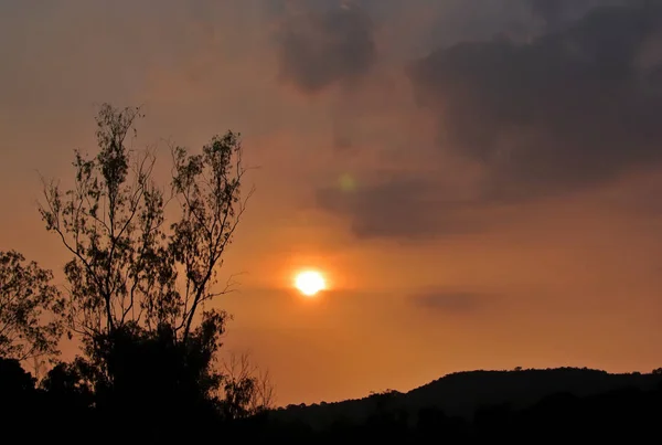 夕阳西下的天空映衬着森林树木和高山的轮廓 — 图库照片