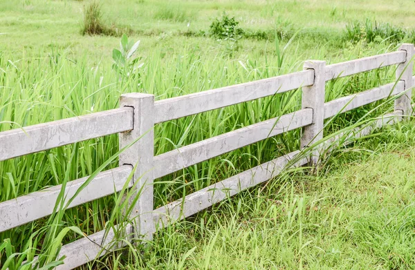 Concrete Fence Green Grass Filed — Stock Photo, Image